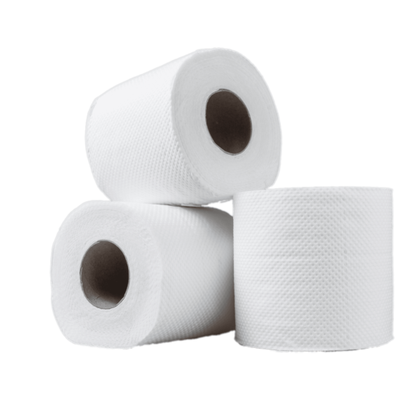 Papier Hygiénique PANDOO 3plis 24 Rouleaux