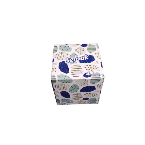 Papier Mouchoir SELPAK 2 plis 96F (Boite cubique en carton)